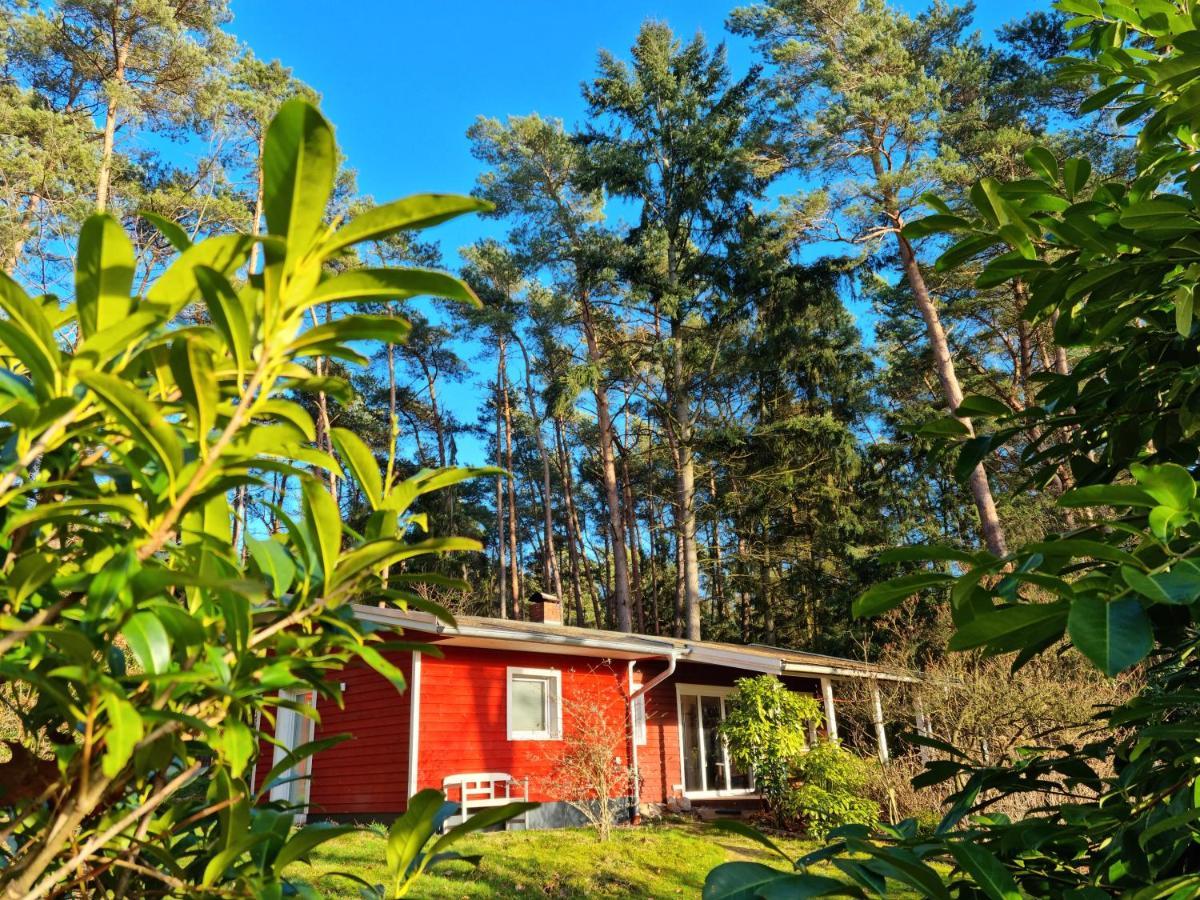 Waldhaus Doetlingen Ferienhaus Im Naturpark Esterno foto