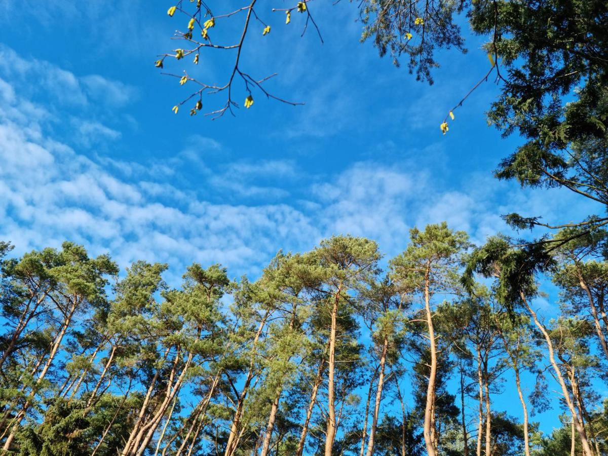 Waldhaus Doetlingen Ferienhaus Im Naturpark Esterno foto