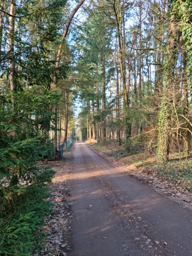 Waldhaus Doetlingen Ferienhaus Im Naturpark Esterno foto