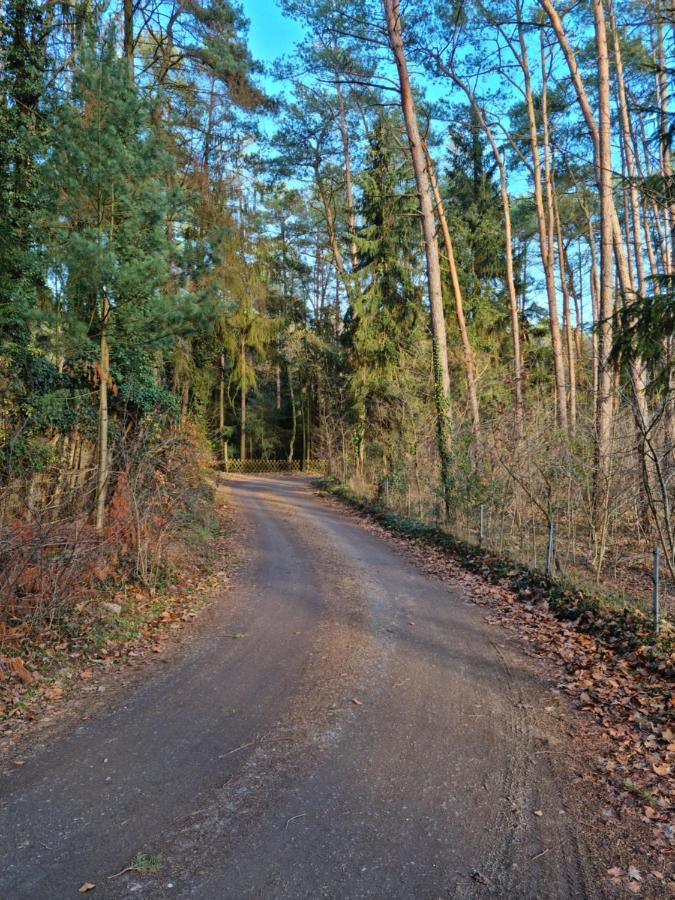 Waldhaus Doetlingen Ferienhaus Im Naturpark Esterno foto