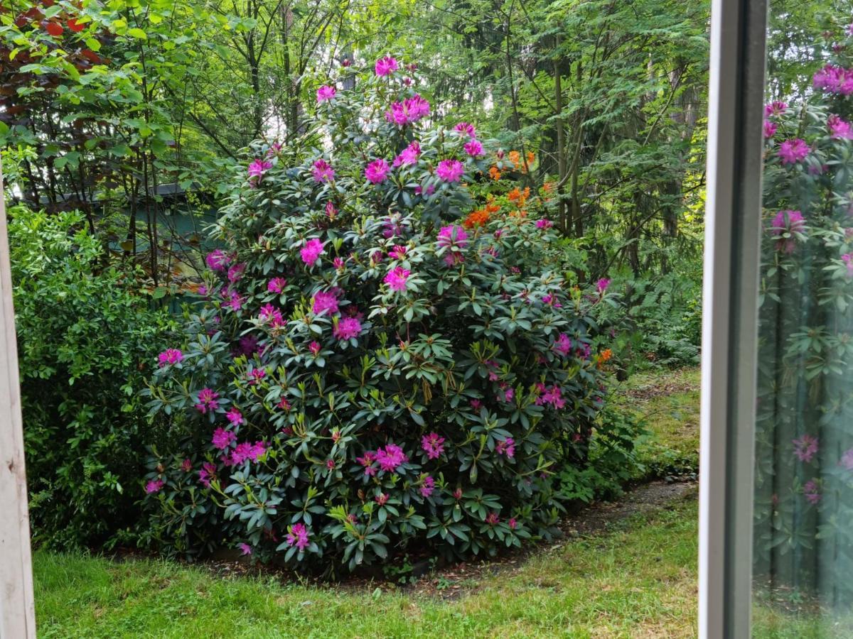 Waldhaus Doetlingen Ferienhaus Im Naturpark Esterno foto